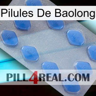 Baolong Pills 21